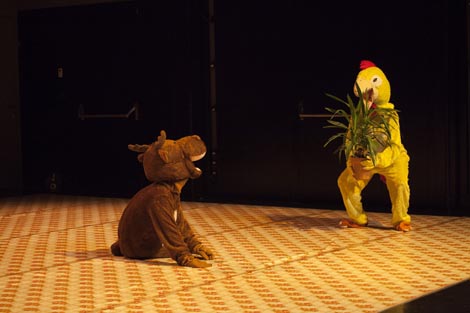 Balkan Dance Reality Show, autori: Iva Sveshtarova, Rose Beermann, Sonja Pregrad, Willy Prager, foto: Neven Petrović