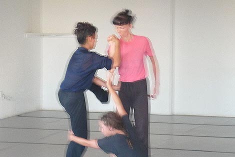 Cows Theory, autorica: Cecilia Lisa Eliceche