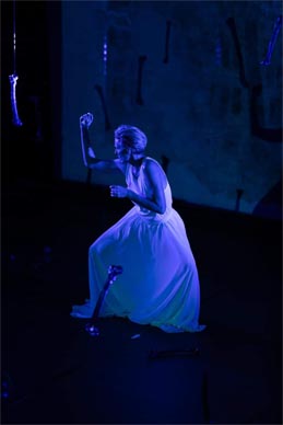 Troubleyn i Javna ustanova u kulturi HVAR 1612: I Believe In The Legend Of Love, autor Jan Fabre, foto: Nikola Radovani