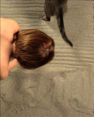 Ivana Filip, Cat Zen Garden, 2016.