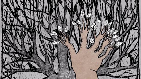 Petrova šuma, red. Martina Meštrović