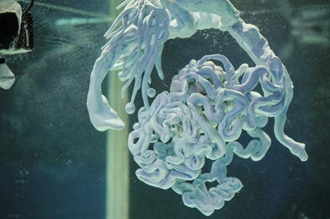 Liberdance, Zagreb: Rituali s delfinima, autor Rajko Pavlić, foto: Vanja Babić