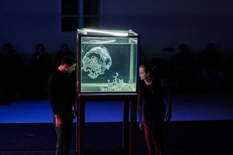 Liberdance, Zagreb: Rituali s delfinima, autor Rajko Pavlić, foto: Vanja Babić