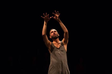 The Cosmic Dust Practice, autor Pavle Heidler