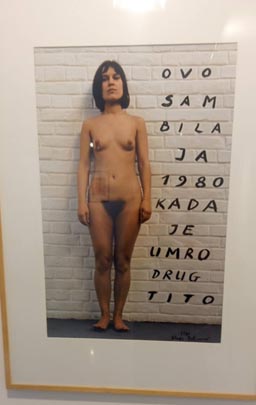 Vlasta Delimar, Ovo sam bila ja 1980. kada je umro drug Tito (1980)
